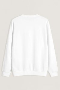 crop3-sweatshirt-man-at-white-2113.jpg