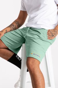Shorts in Light Green color with Monte Carlo stamp