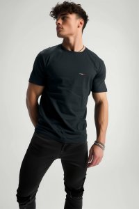 T-Shirt in Iron Grey color with Italian Stripe Print