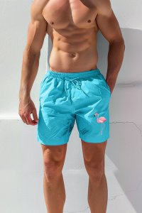 Swimming Shorts in Veraman Color with Mad Flamingo Print