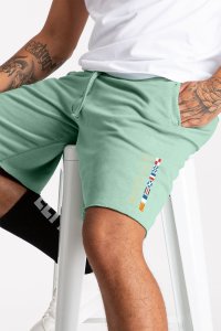 Shorts in Light Green color with Monte Carlo stamp