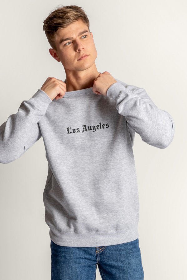 crop2-hedrix-sweatshirt-ac_g6_grey_0274.jpg