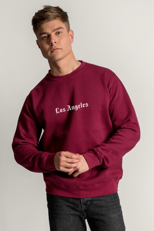 crop2-hedrix-sweatshirt-ab_g6_burgundy_0274.jpg