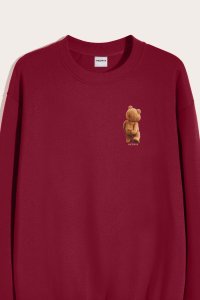 Sweatshirt in Bordeaux Color with Everyones Got An Opinion Print