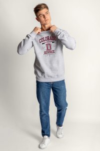crop2-g6-sweatshirt-man-ad-grey-0122.jpg