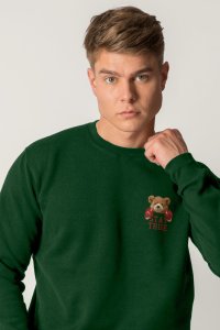 Sweatshirt in Green Color with Boxer Teddy Print