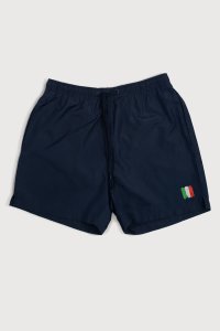 Swimming Shorts in Blue Color with Italy Painted Stripe Print