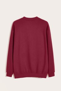 full-sweatshirt-flat-lay-be-bordeaux-back-0041.jpg