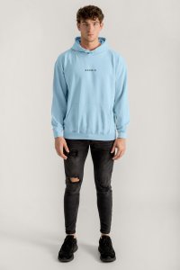 Hoodie in Sky Blue Color with Minimal Hedrix Print