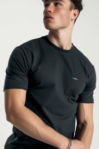 T-Shirt in Iron Grey color with Italian Stripe Print