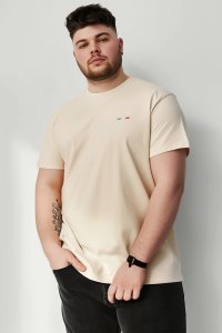 T-Shirt in Ecru color with Italian Stripe Print