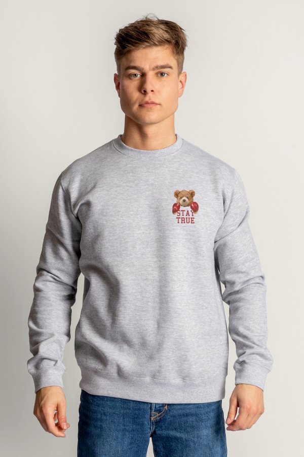 crop2-hedrix-sweatshirt-aa_g6_grey_0253.jpg