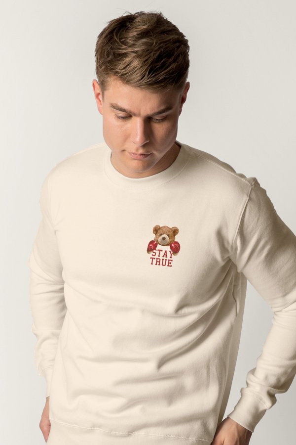crop2-hedrix-sweatshirt-ae_g6_ecru_0253.jpg