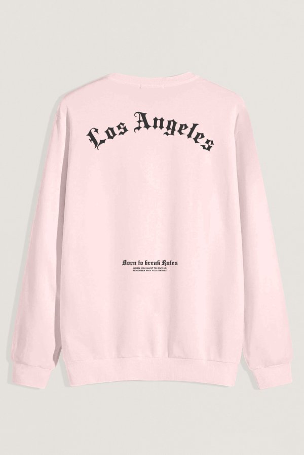 full-sweatshirt_back-isolated-flat-lay-aa-back_g0_pink_0274.jpg