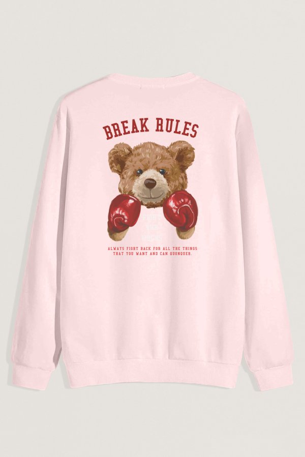 full-sweatshirt_back-isolated-flat-lay-aa-back_g0_pink_0253.jpg