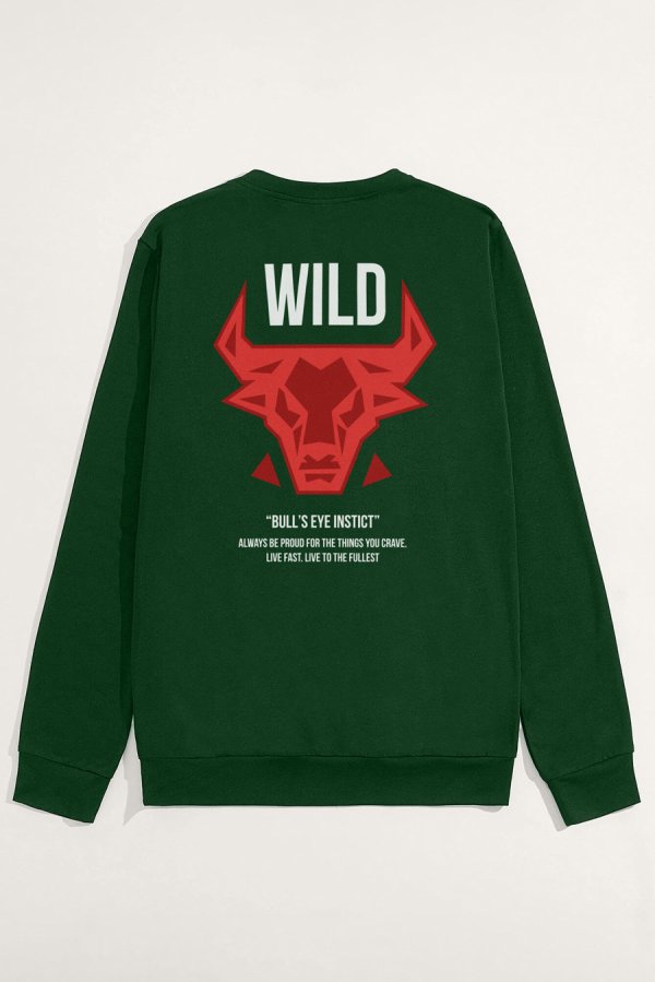 full-sweatshirt_back-isolated-flat-lay-aa-back_g0_green_0266.jpg