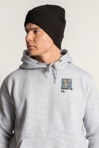 full-hoodie-flat-lay-ac-gray-back-0164.jpg
