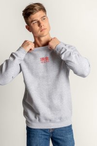 crop2-g6-sweatshirt-man-ag-grey-0173.jpg