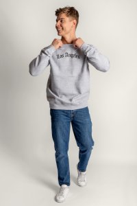 crop2-g6-sweatshirt-man-ad-grey-0106.jpg