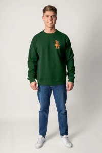 Sweatshirt in Green Color with Robotic Teddy Print