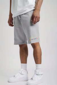Shorts in Grey color with Monte Carlo stamp