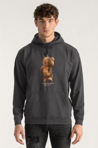 Hoodie in Iron Grey Color with Teddys Opinion Print