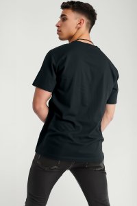 T-Shirt in Iron Grey color with Italian Stripe Print