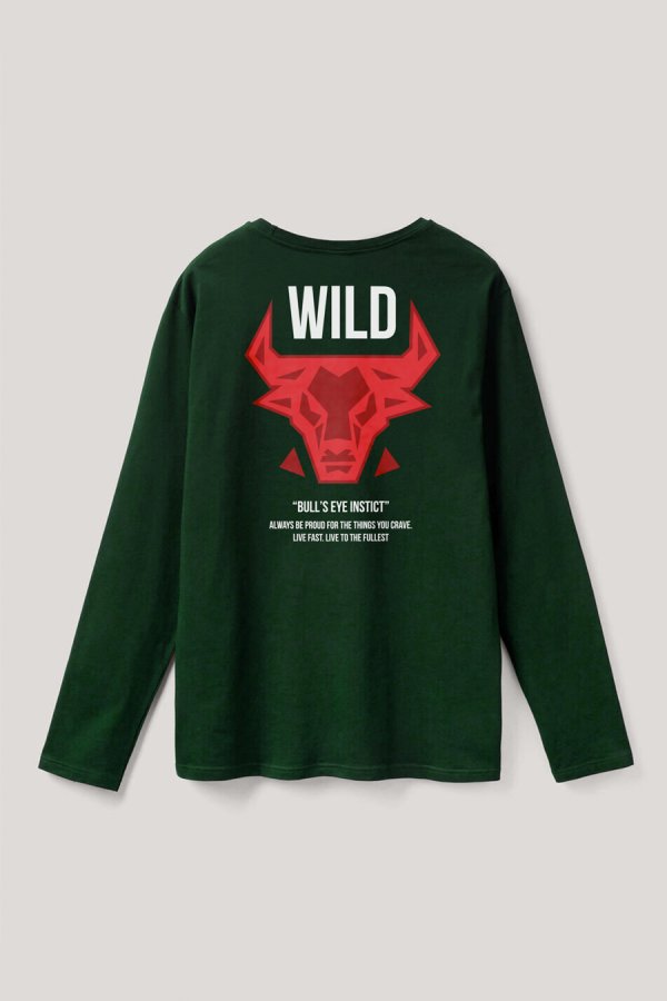 full-longsleeve_back-isolated-flat-lay-aa-back_g0_green_0259.jpg