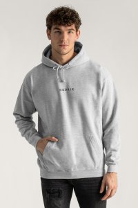 Hoodie in Grey Color with Minimal Hedrix Print