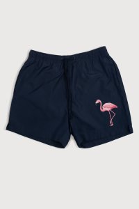 Swimming Shorts in Blue Color with Mad Flamingo Print