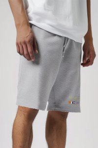 Shorts in Grey color with Monte Carlo stamp