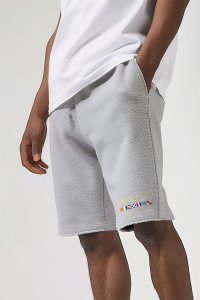 Shorts in Grey color with Monte Carlo stamp