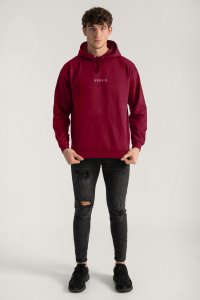 Hoodie in Bordeaux Color with Minimal Hedrix Print