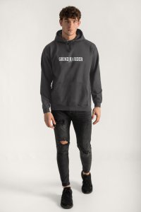 Hoodie in Iron Grey Color with No Pain No Gain Print