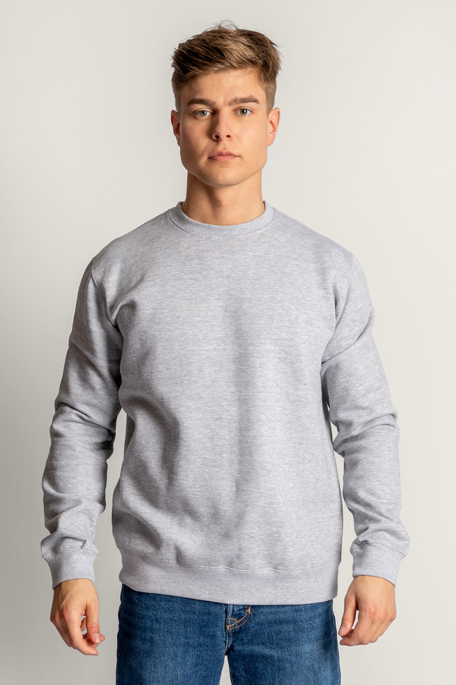 crop2-g6-sweatshirt-man-aa-grey.jpg