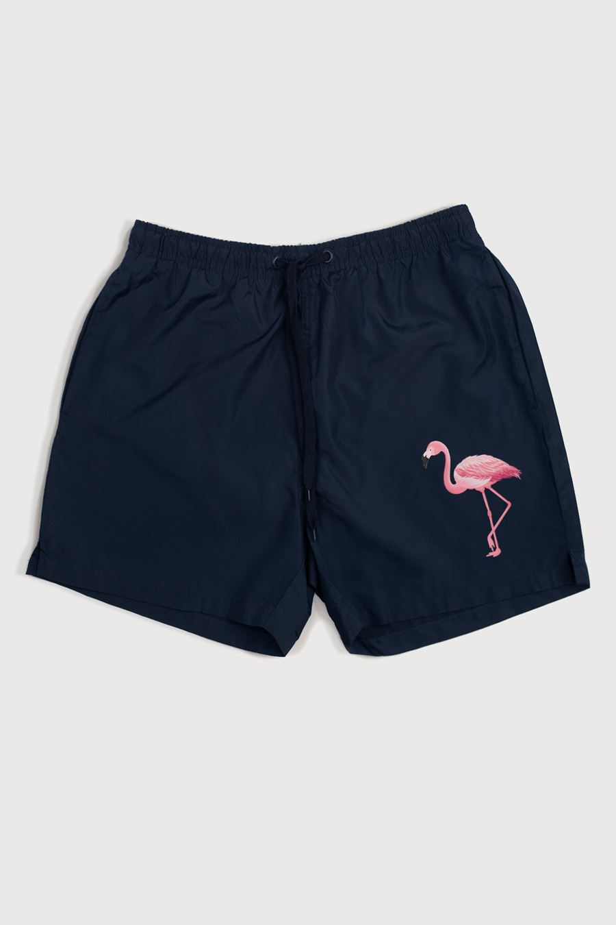 Swimming Shorts in Blue Color with Mad Flamingo Print swimwear-a-isolated-front-full-blue-1276.jpg