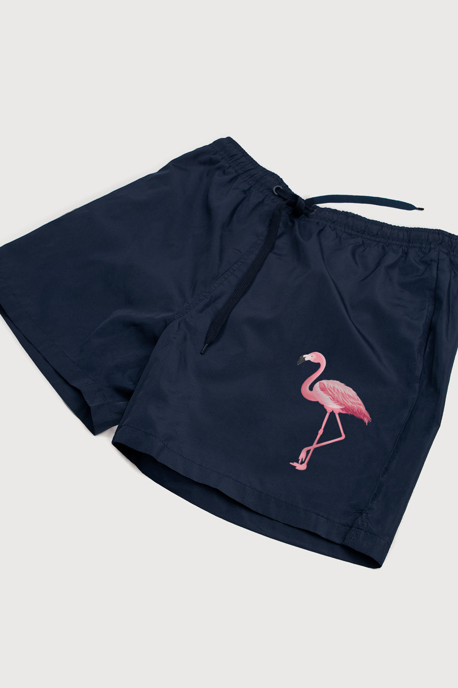 Swimming Shorts in Blue Color with Mad Flamingo Print swimwear-a-isolated-front-zoom1-blue-1276.jpg